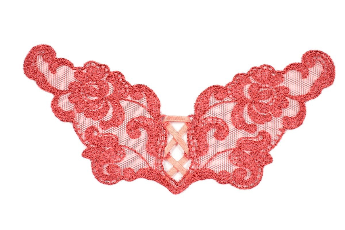 Red Embroidered applique 2pcs.