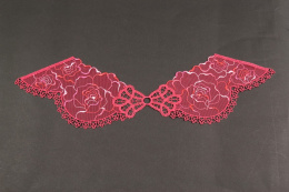 Piękna amarantowa aplikacja