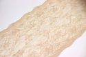 Wide elastic nude lace, nude lace, floral lace 0.5 m