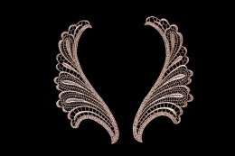 Beżowe aplikacje skrzydła