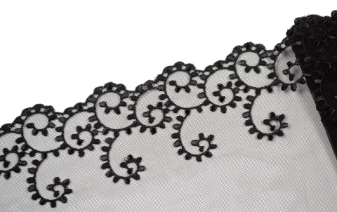 Black Embroidered lace on tulle