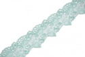 Mint color lace on tulle 1mb