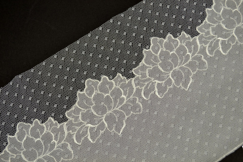 Lace on ivory color 1mb