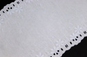 Lace on cotton 1,2mb