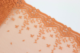 Wide lace on tulle 1mb